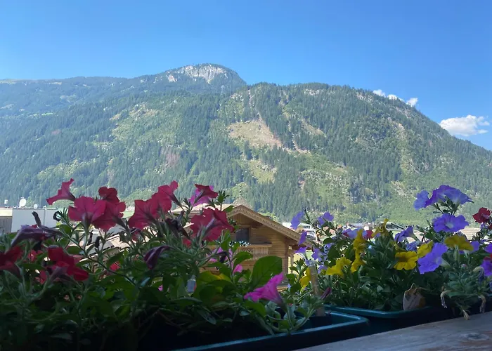 Pension Schwemberger Mayrhofen